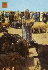 SUD MAROC (3)